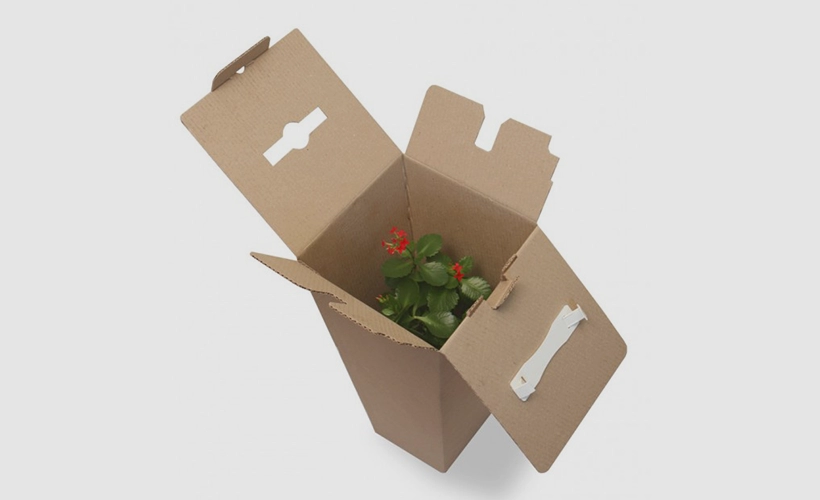 Разновидности коробок из картона для цветов