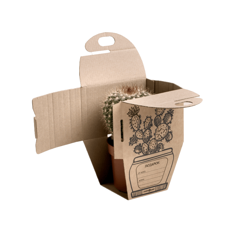Коробка для колючего кактуса