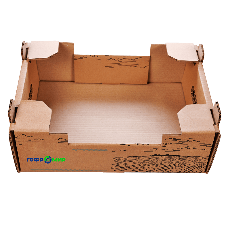 Картонный лоток для свежей спаржи