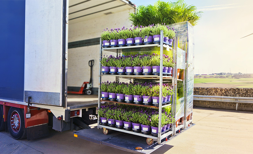 pravila-perevozki-tsvetov (1).png