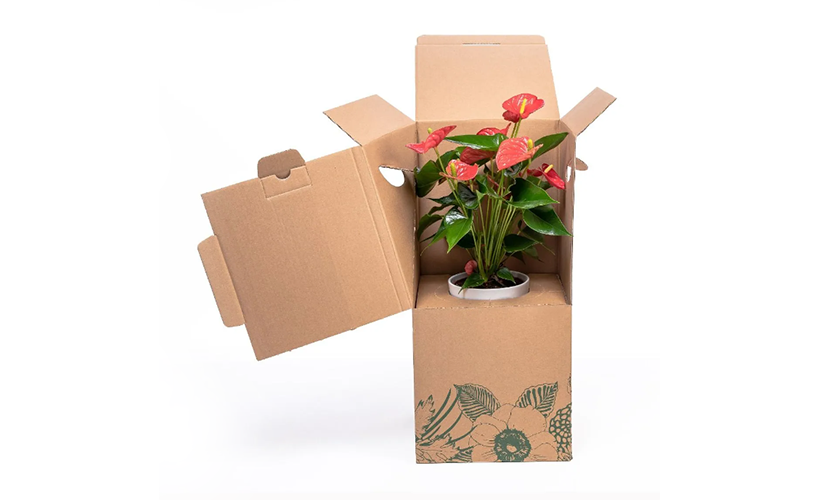 pravila-perevozki-tsvetov (4).png