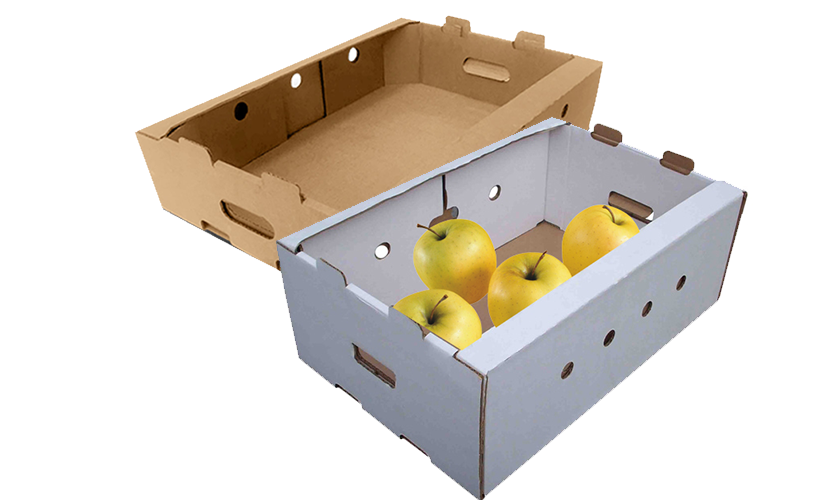 vybor-gofrolotkov-dlya-fruktov (3).png