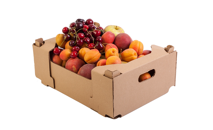 vybor-gofrolotkov-dlya-fruktov (4).png