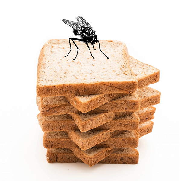 upakovka-dlya-zashchity-ot-nasekomykh-chto-nuzhno-znat (4).png