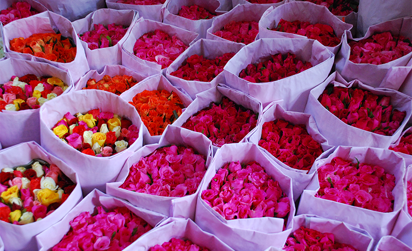 pravila-perevozki-tsvetov (2).png