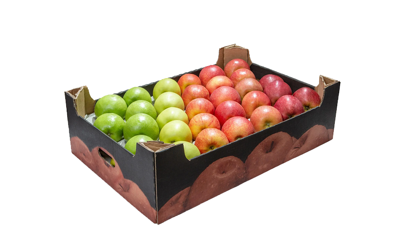 vybor-gofrolotkov-dlya-fruktov (1).png