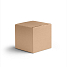 Картонная коробка 125х125х125 Т22 B Бурый 0201