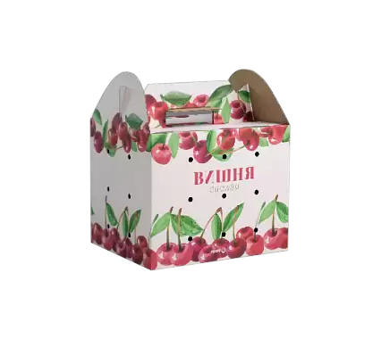 Упаковка для любимых фруктов Упаковка для любимых фруктов